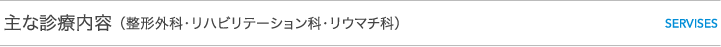 主な診療内容