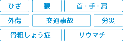 ひざ、腰、首・手・肩、外傷、交通事故、労災、骨粗しょう症、リウマチ